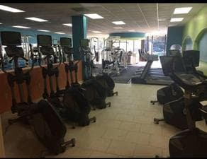 Cardio and strength equipment on the training floor at Absolute Fitness West Columbia